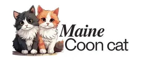 maine coon cats